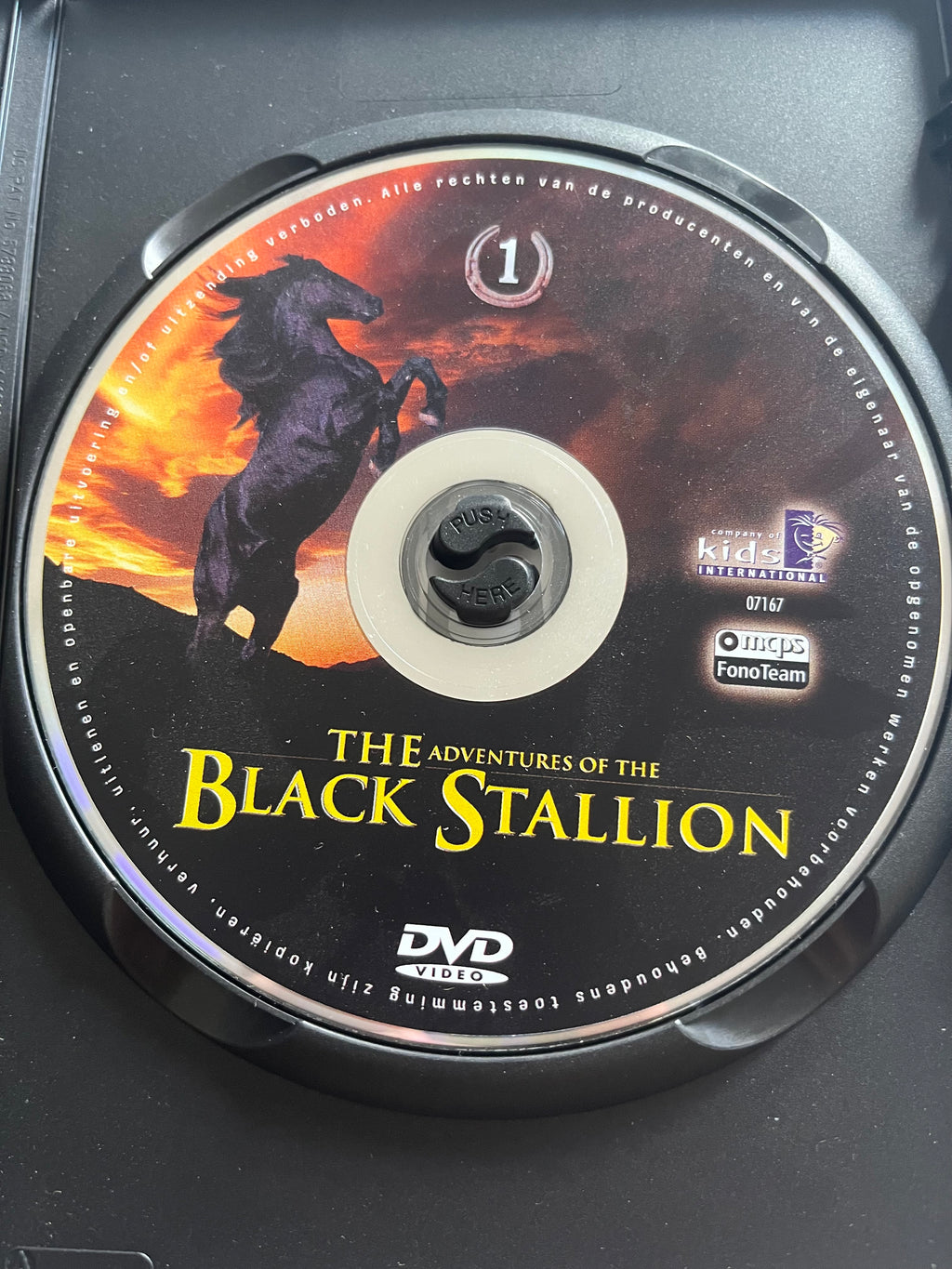 The Adventures of the Black Stallion – DVD | Mickey Rooney