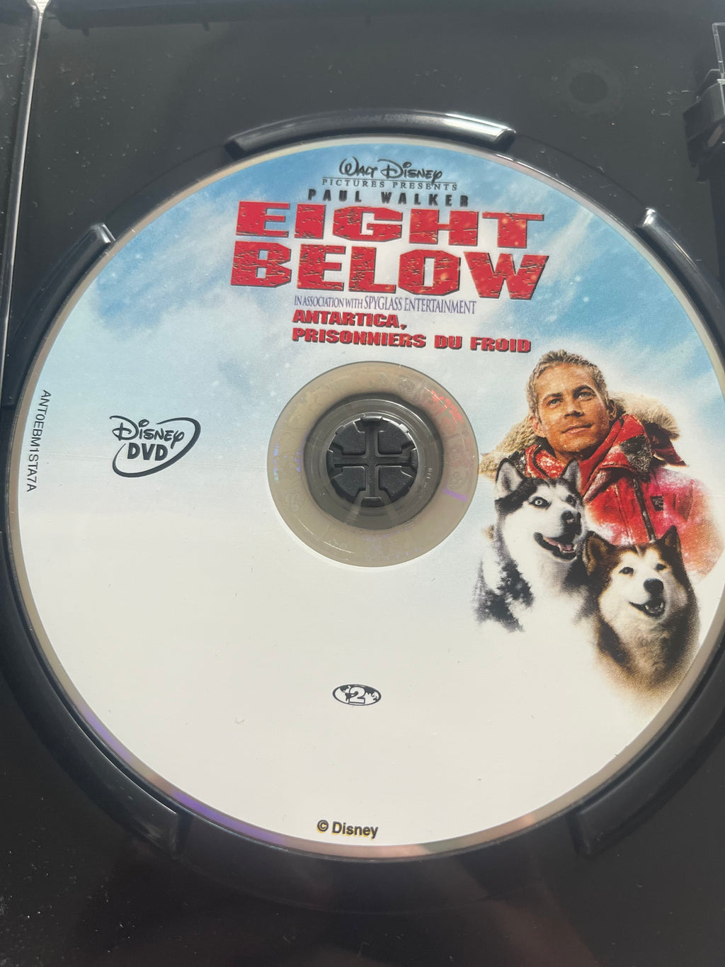Disney Eight Below – DVD (2006) | Paul Walker & Jason Biggs