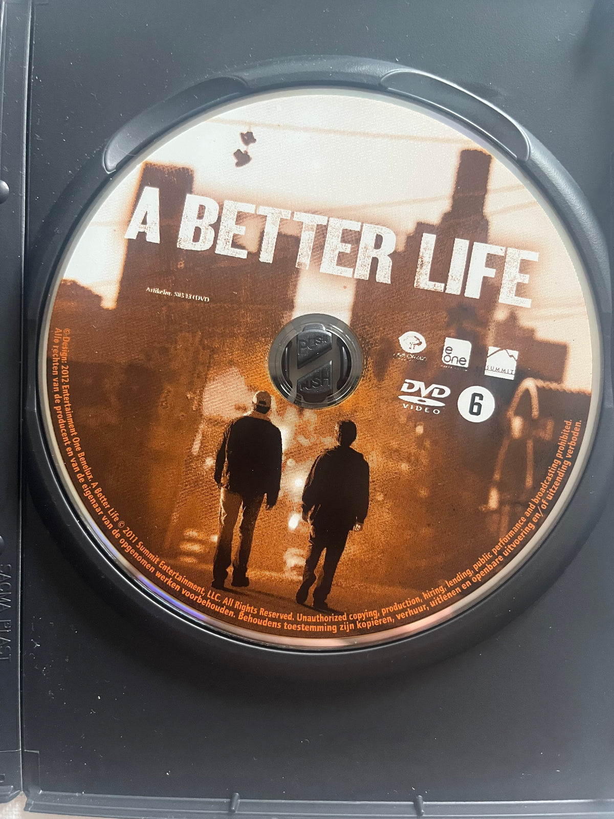 A Better Life – DVD (2011) | Demián Bichir