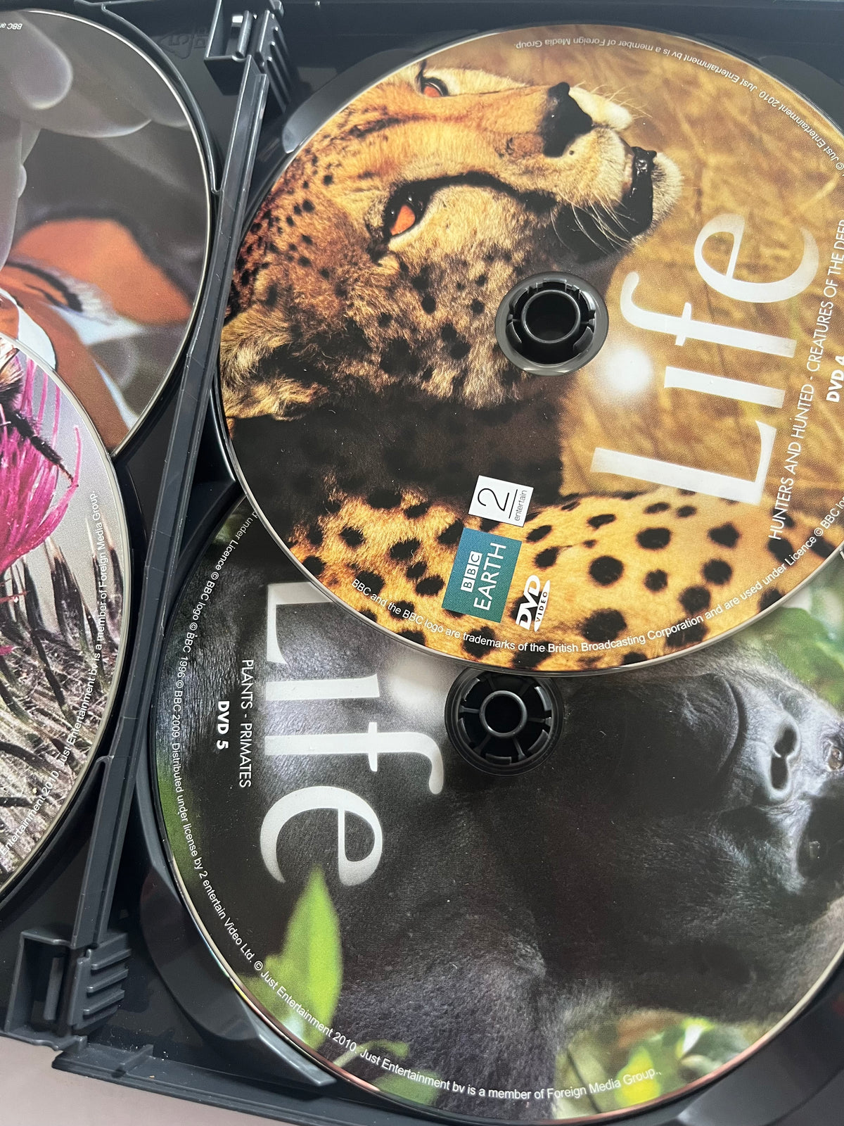 BBC Life – The Complete Series DVD (2009) | David Attenborough