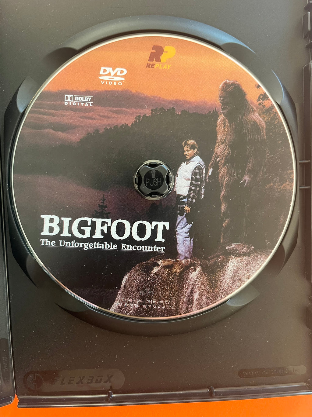 Bigfoot: The Unforgettable Encounter – DVD (1994) | Family Adventure